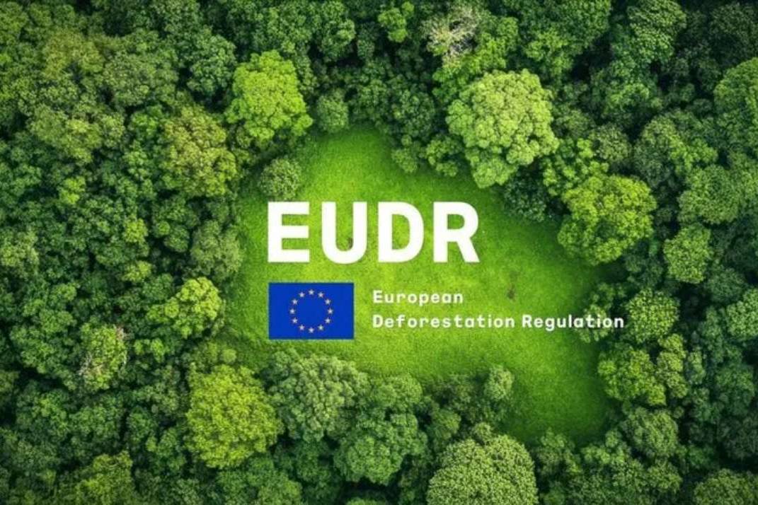 eudr ciumplimiento damtec