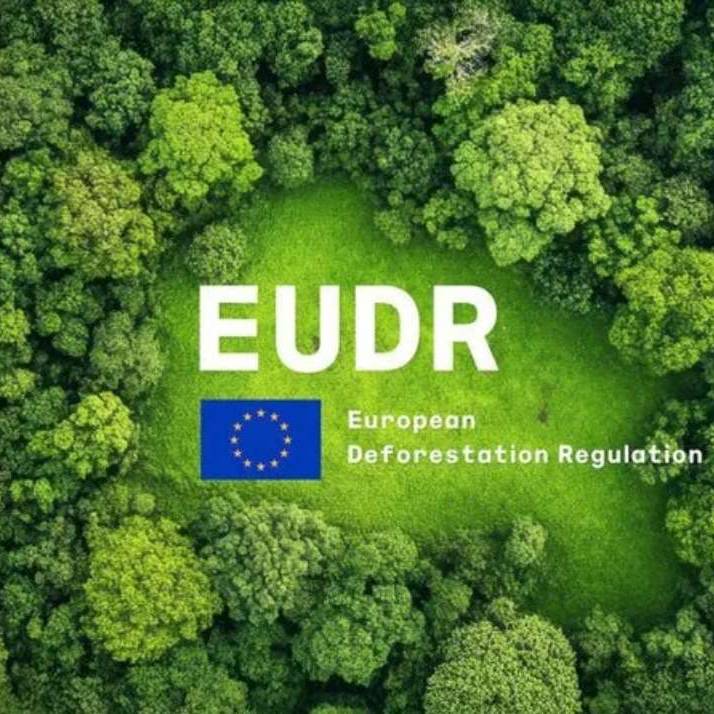 eudr ciumplimiento damtec