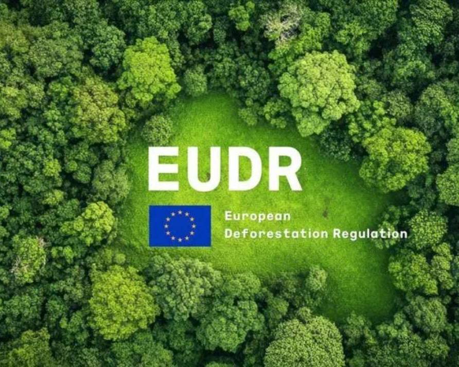 eudr ciumplimiento damtec