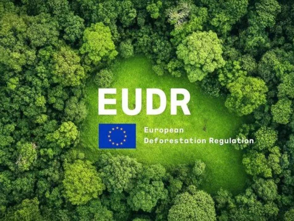eudr ciumplimiento damtec