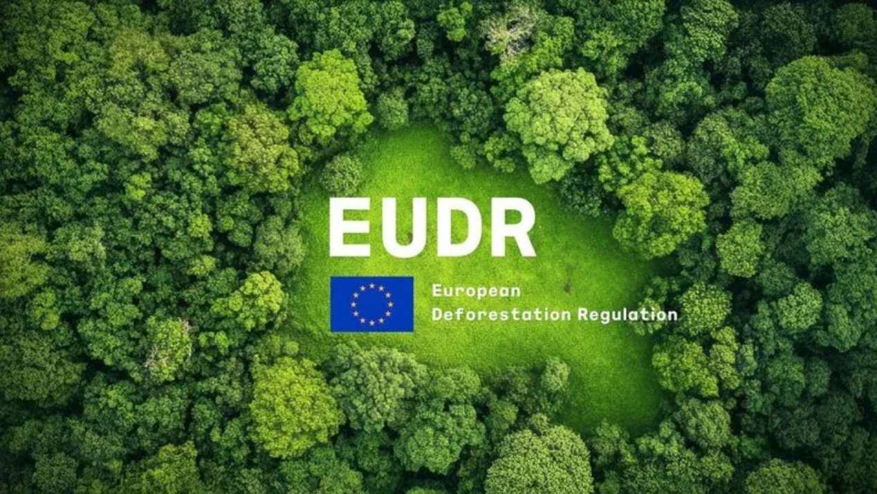 eudr ciumplimiento damtec